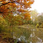 Stille, Bäume und Wasser im Herbst