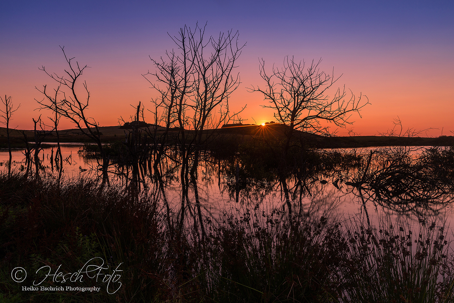 Stille - Dänemark 2014