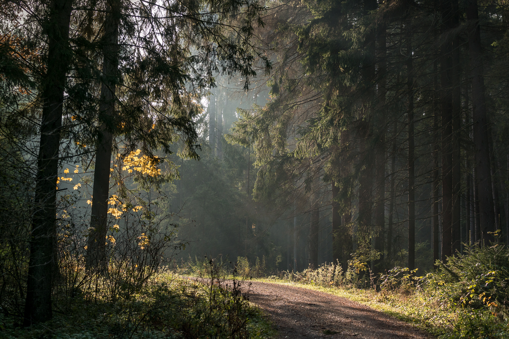 Stille der Gefühle