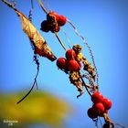 Stille des Herbstes