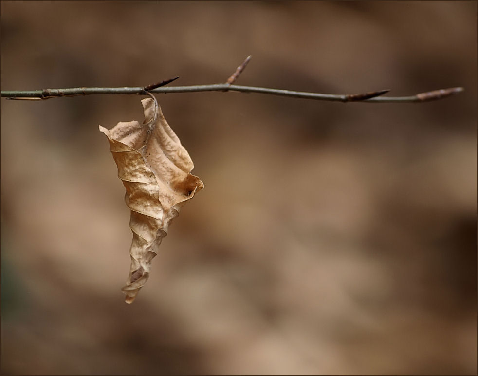 Stille des Herbstes