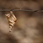 Stille des Herbstes