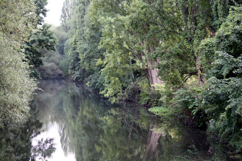 Stille von Dieter Hölscher