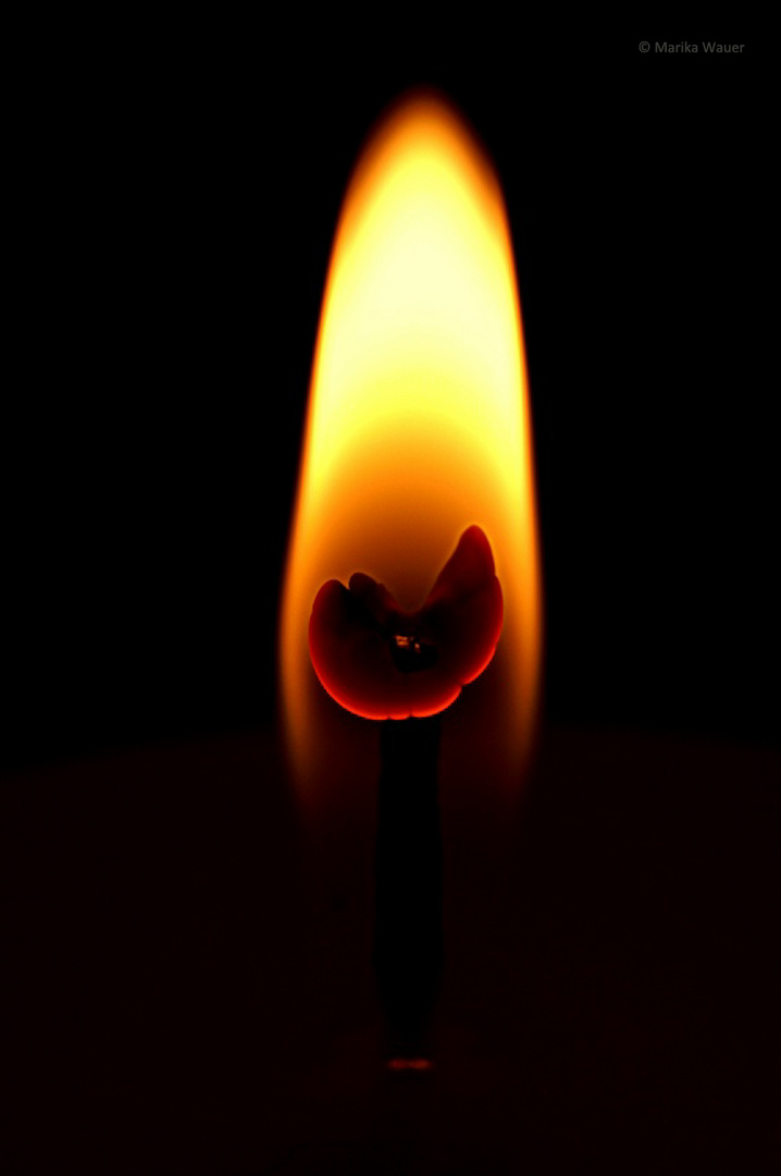 stille Flamme