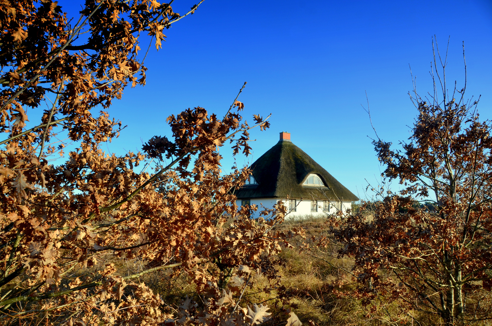 Stille Heide 