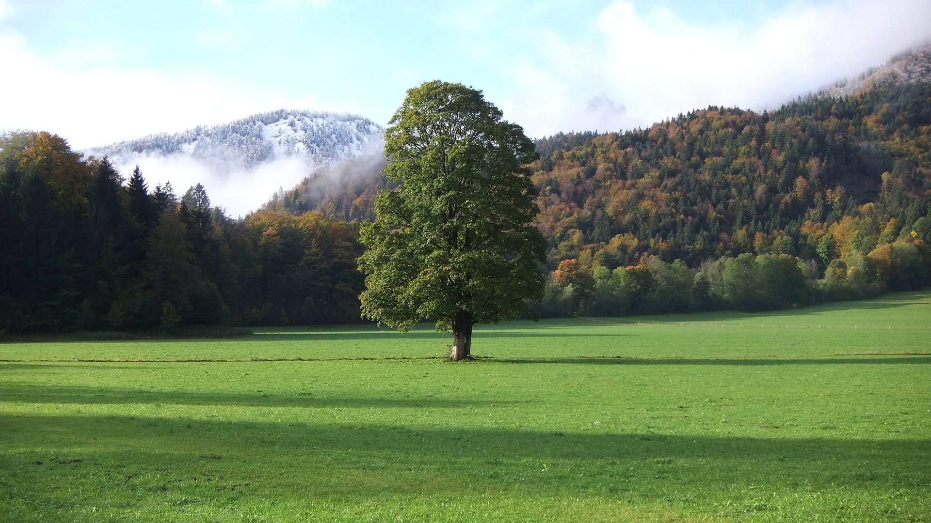 Stille-Herbst