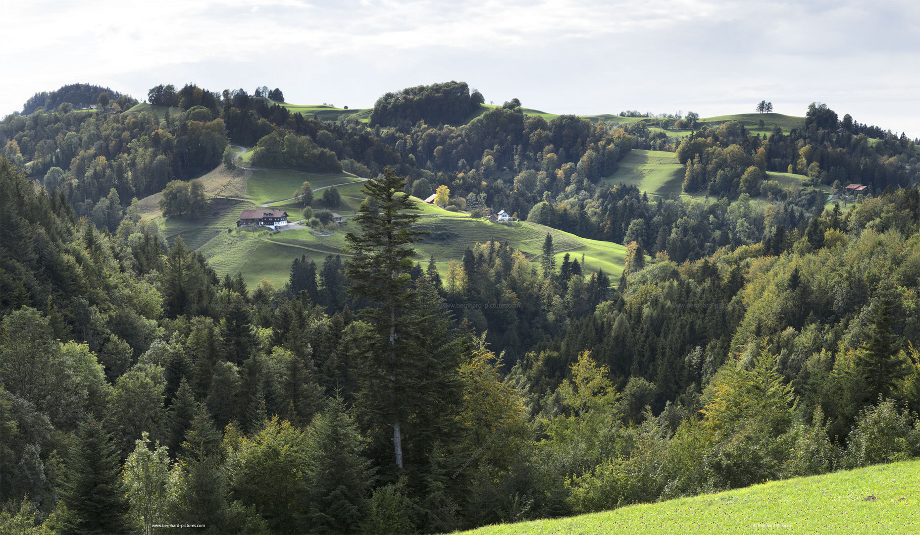 Stille Herbstlandschaft im Züricher Oberland