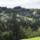 Stille Herbstlandschaft im Züricher Oberland