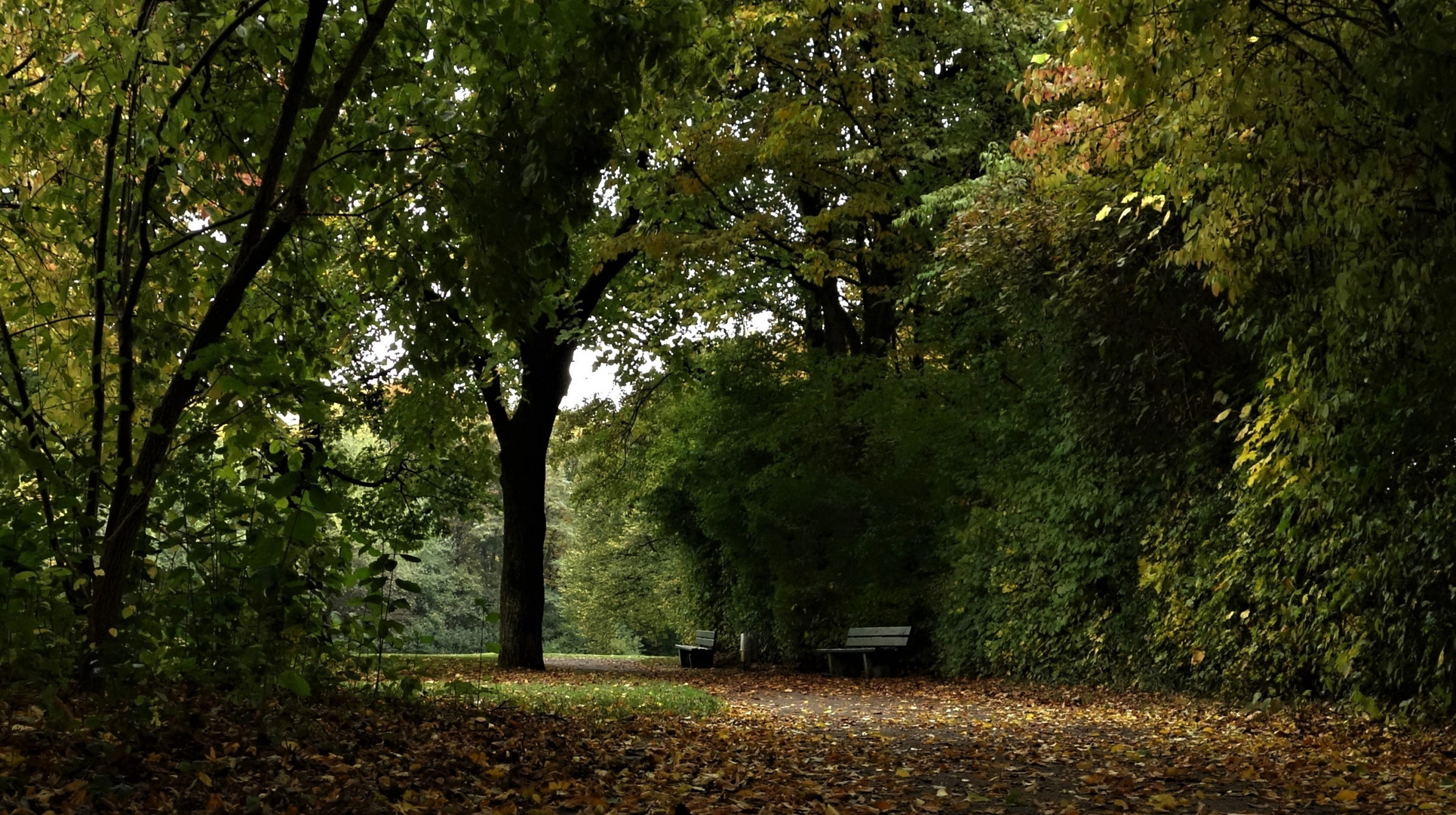 Stille Herbsttage