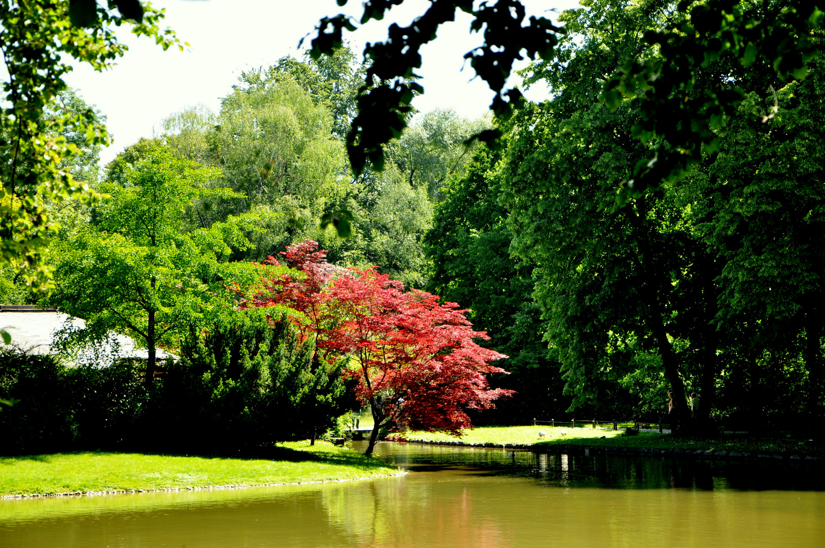 Stille im Englischen Garten