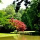 Stille im Englischen Garten