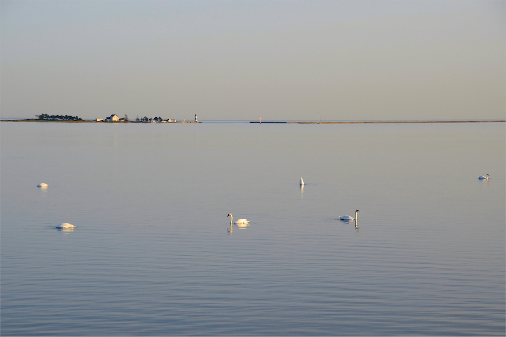 STILLE im Fjord