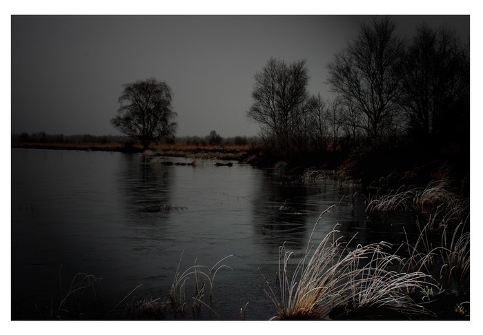 Stille im Moor