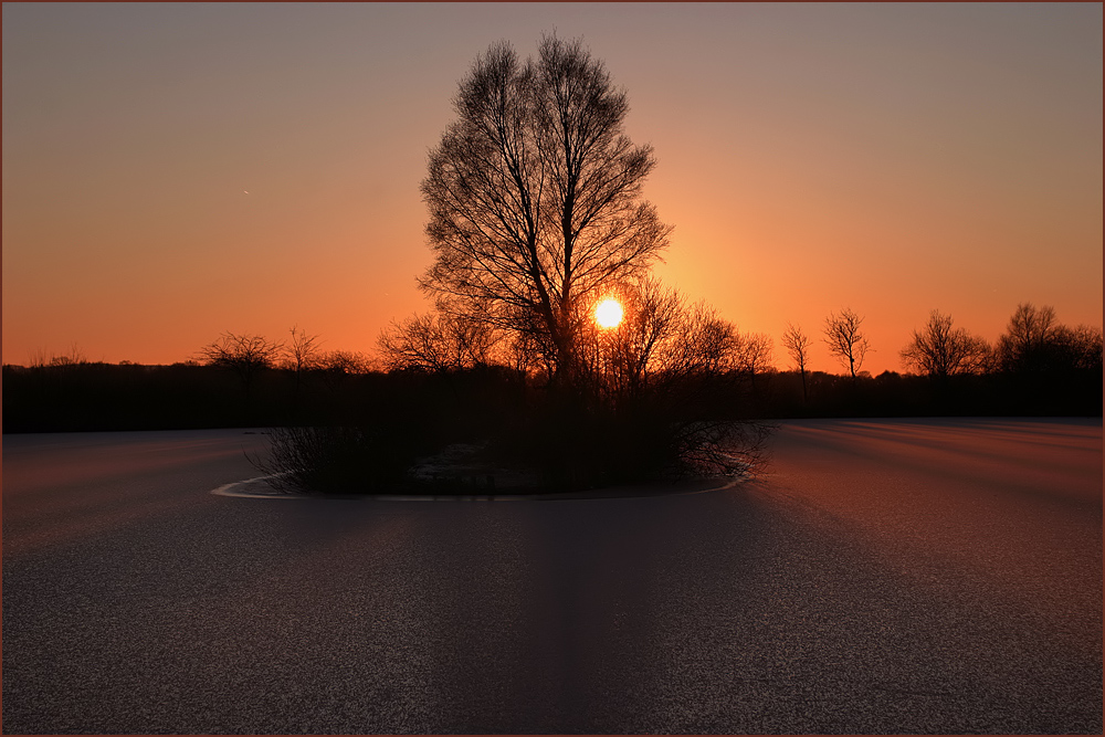 Stille Im Moor