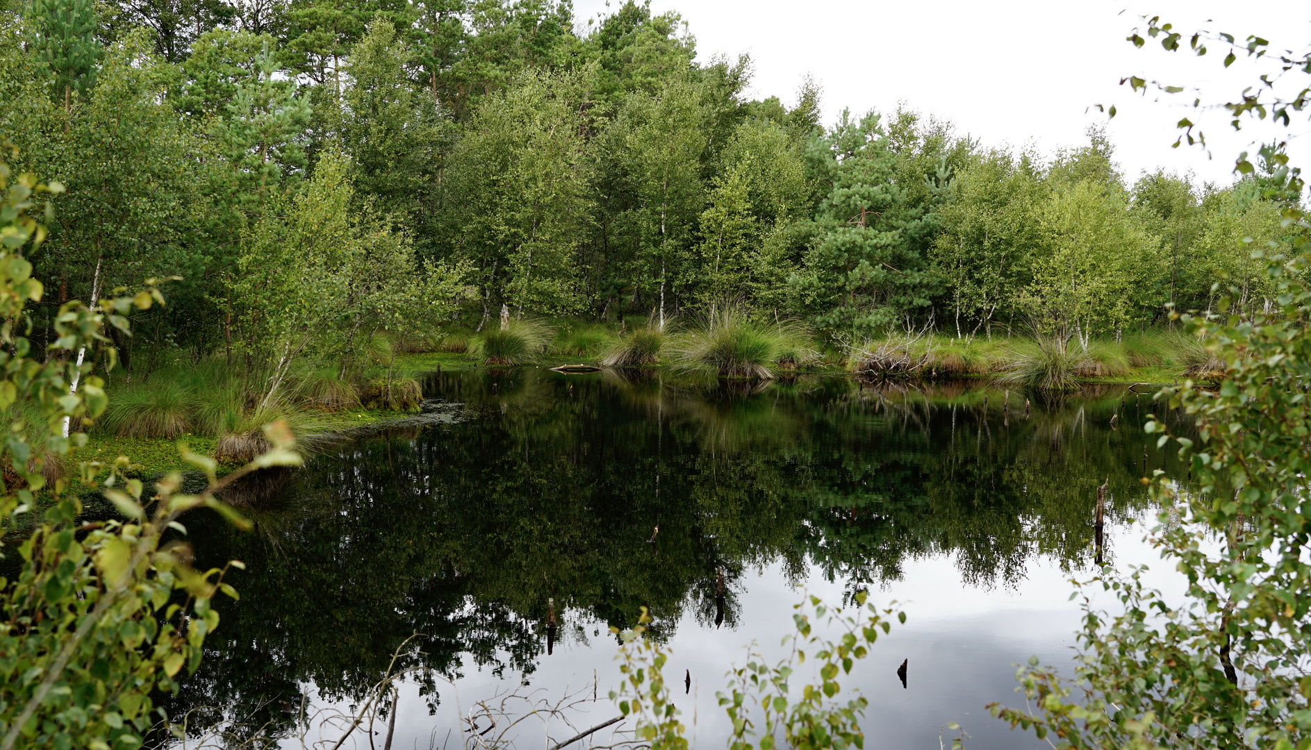 Stille im Moor / Spieglein, Spieglein ...