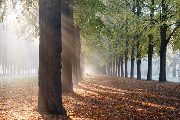 Stille im Morgennebel