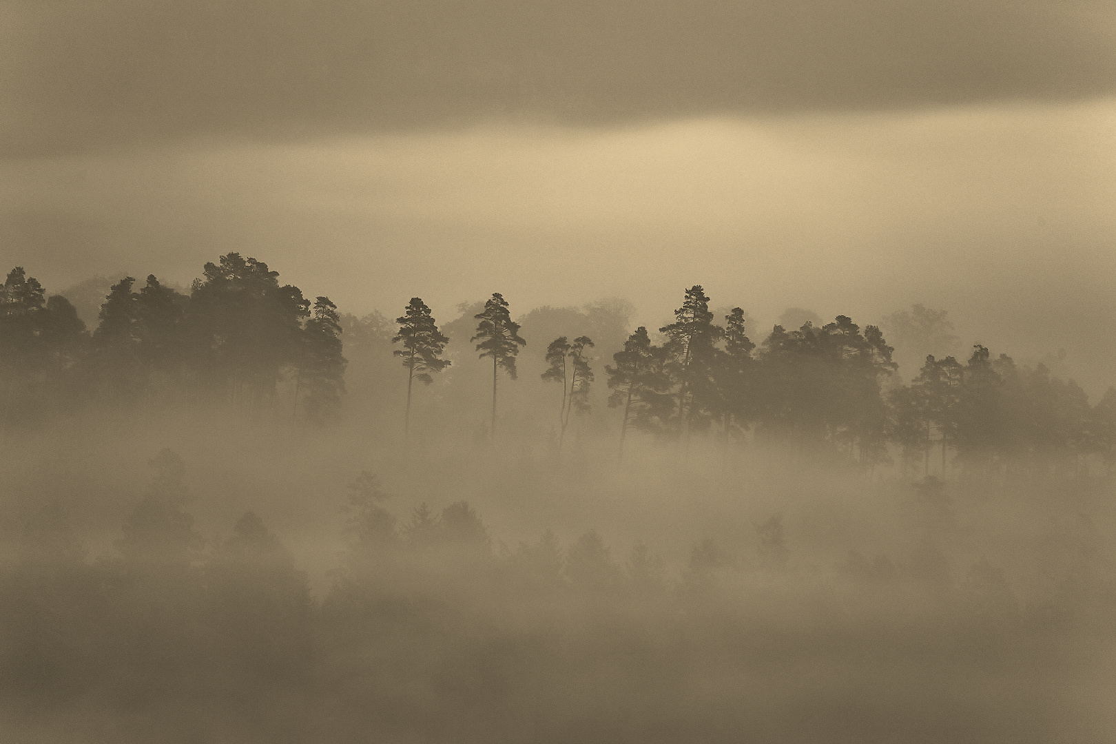 Stille im Nebel...