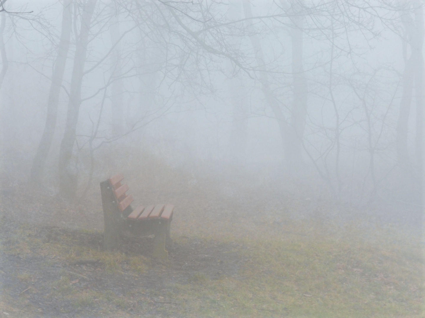 Stille im Nebel