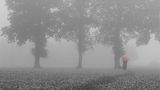 stille - im nebel verschwunden von Judith Beckmann