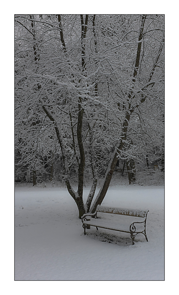 Stille im Park