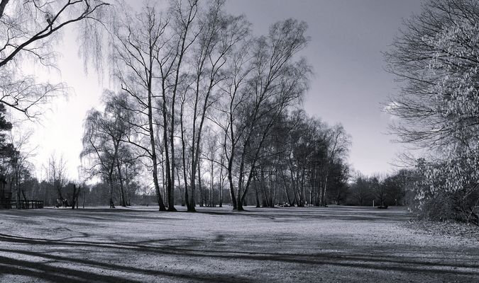 Stille im Park