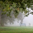 Stille im Park