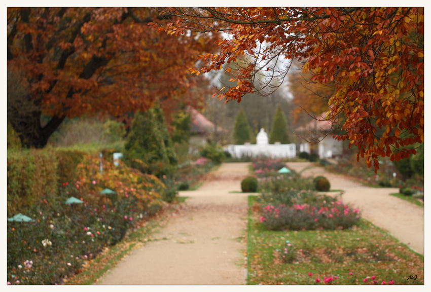 Stille im Rosengarten 2