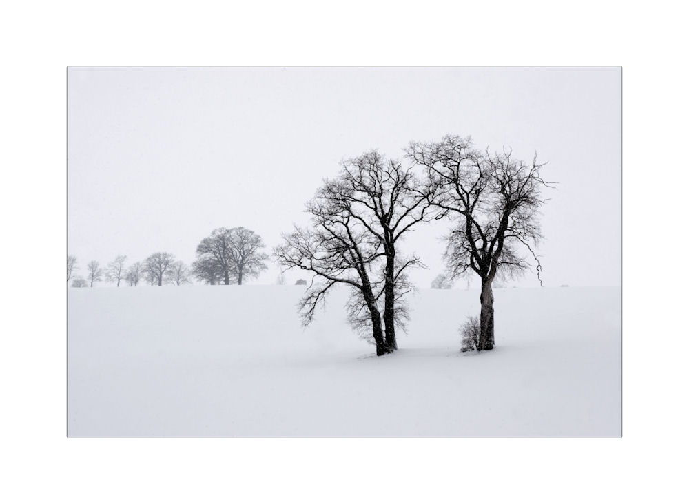 Stille Im Schnee