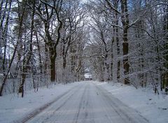 Stille im Schnee