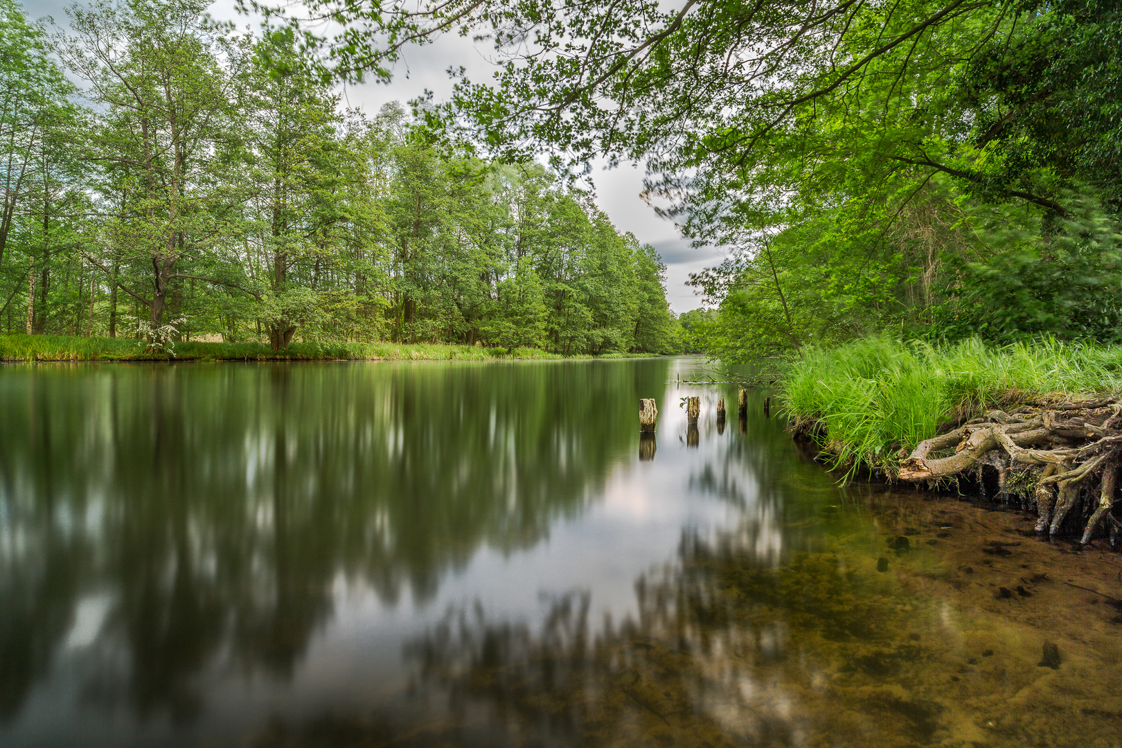 Stille im Spreewald [3]