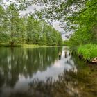 Stille im Spreewald [3]