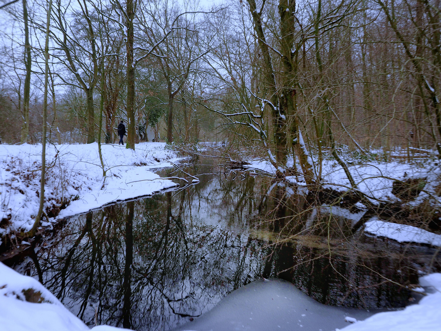 Stille im Wald 