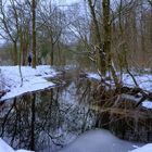 Stille im Wald 