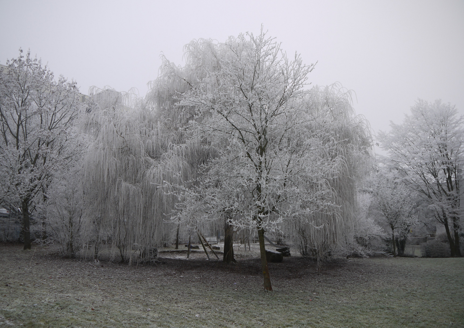 Stille im Winter