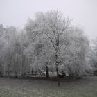 Stille im Winter