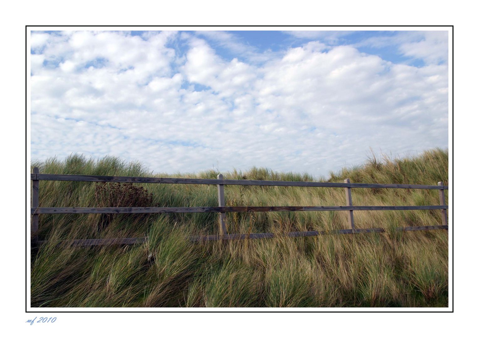 Stille in den Dünen