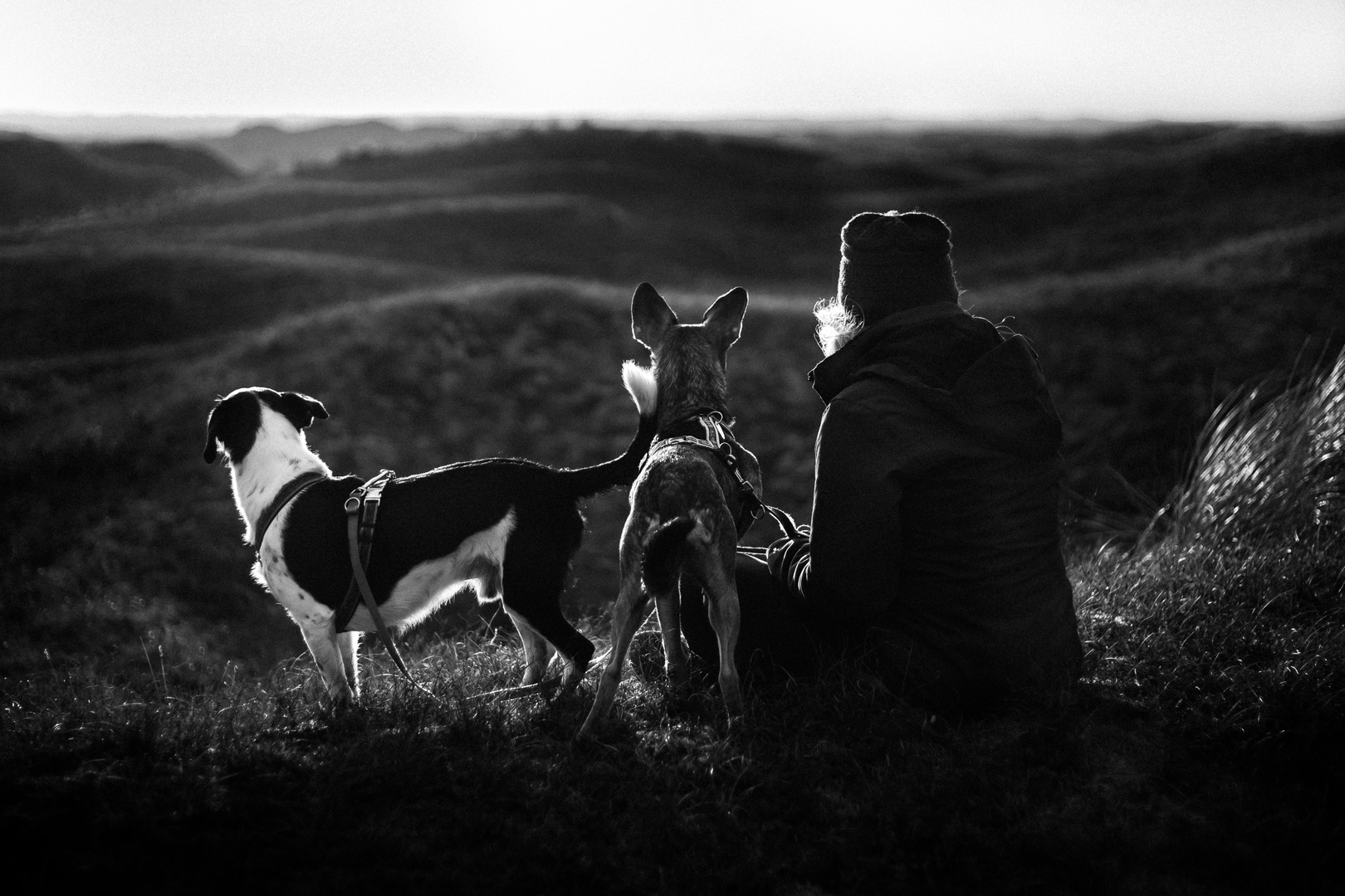 Stille in den weiten Dünen von Texel