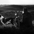 Stille in den weiten Dünen von Texel