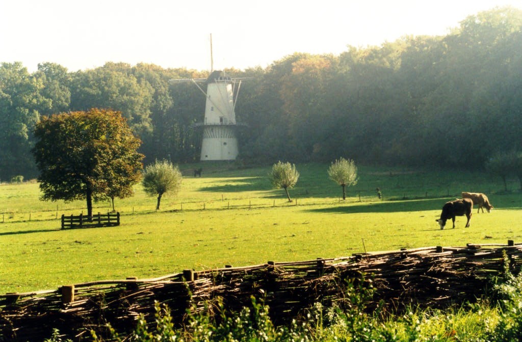 Stille in der Natur