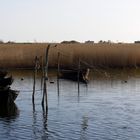 Stille in Rügens Bodden