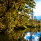 Stille in Taubergiessen