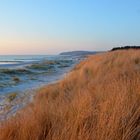 Stille Insel Hiddensee, Germany 