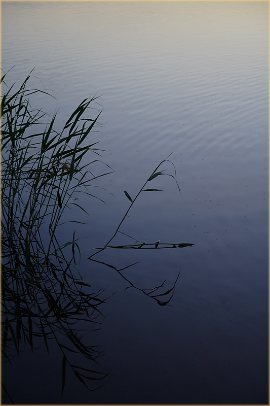 Stille ist ein Geräusch