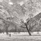 Stille kehrt ein am großen Ahornboden