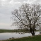 stille Landschaft