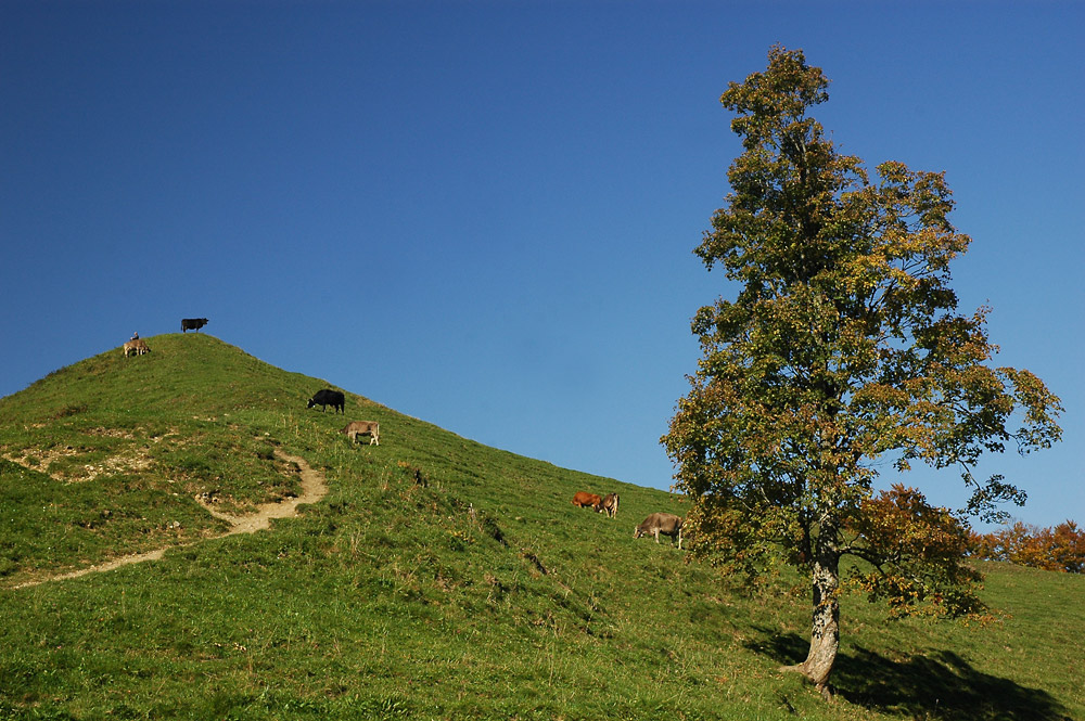 Stille Landschaft