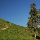 Stille Landschaft