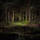 Stille - lightpainting