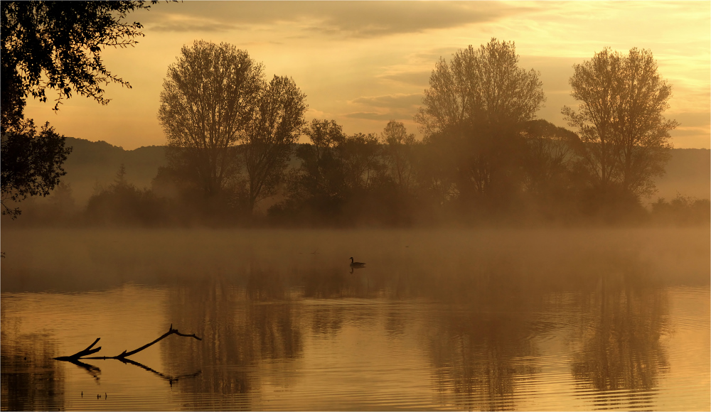 Stille Momente am Morgen