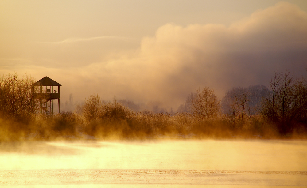 Stille Momente II - Morgens am See